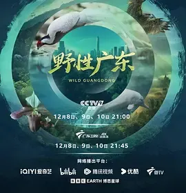 《野性广东》，记录南粤大地上的野生动植物奇观